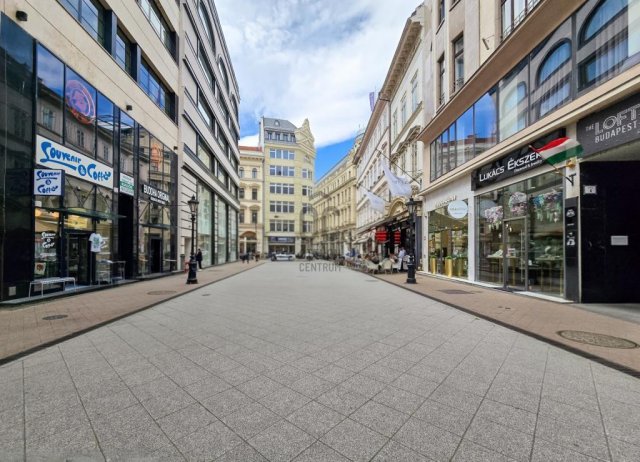 Eladó téglalakás, Budapesten, V. kerületben 175 M Ft, 3 szobás
