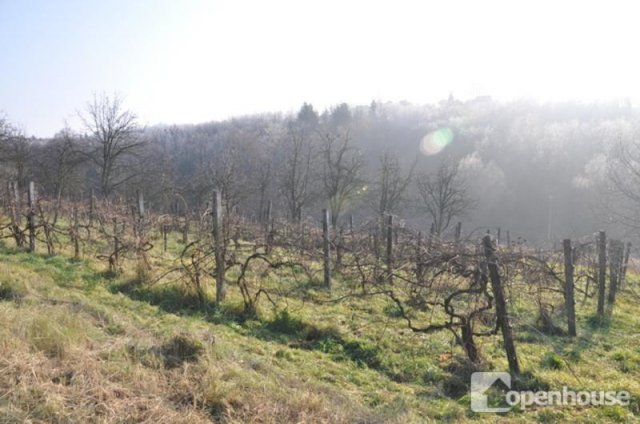 Eladó telek, Zalaegerszegen 0.99 M Ft / költözzbe.hu