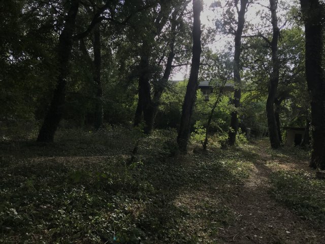 Eladó telek, Budapesten, XIII. kerületben 590 M Ft