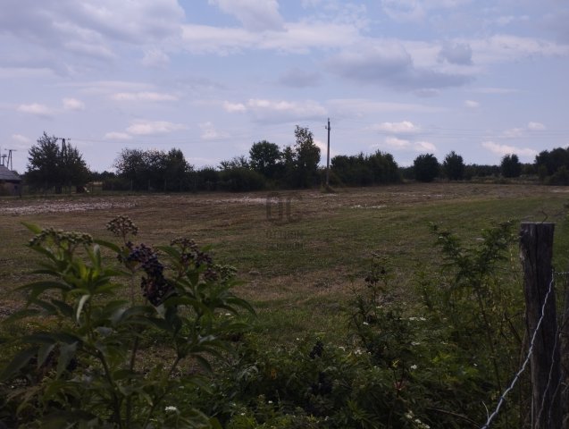 Eladó telek, Nógrádon 38 M Ft / költözzbe.hu