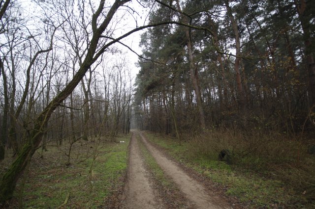 Eladó telek, Debrecenben 9.4 M Ft / költözzbe.hu