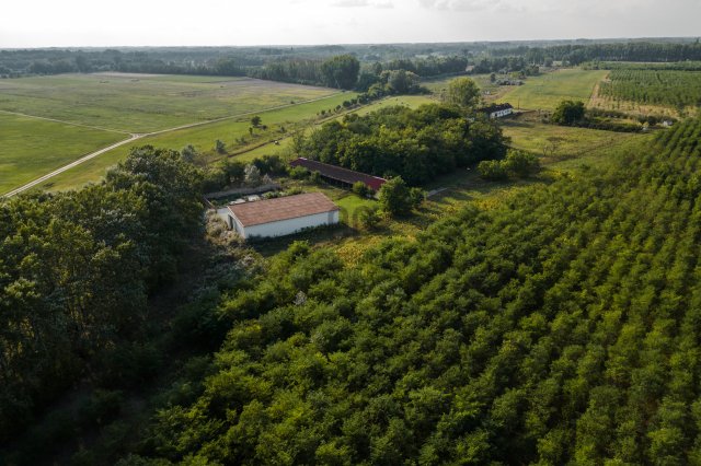 Eladó mezogazdasagi ingatlan, Ruzsán 75 M Ft