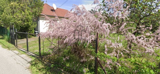 Eladó telek, Szentendrén 99.8 M Ft / költözzbe.hu