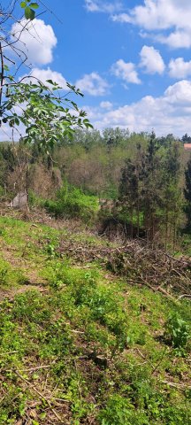 Eladó telek, Zalakaroson 2.5 M Ft / költözzbe.hu