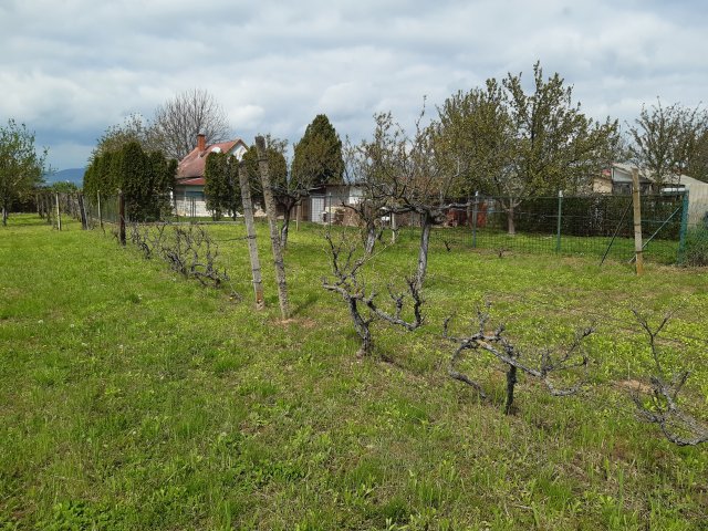 Eladó telek, Pellérden 4.5 M Ft / költözzbe.hu