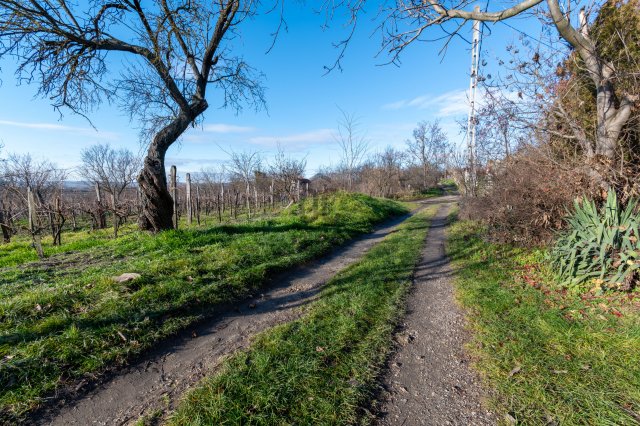 Eladó családi ház, Lepsényben 19.5 M Ft, 2 szobás