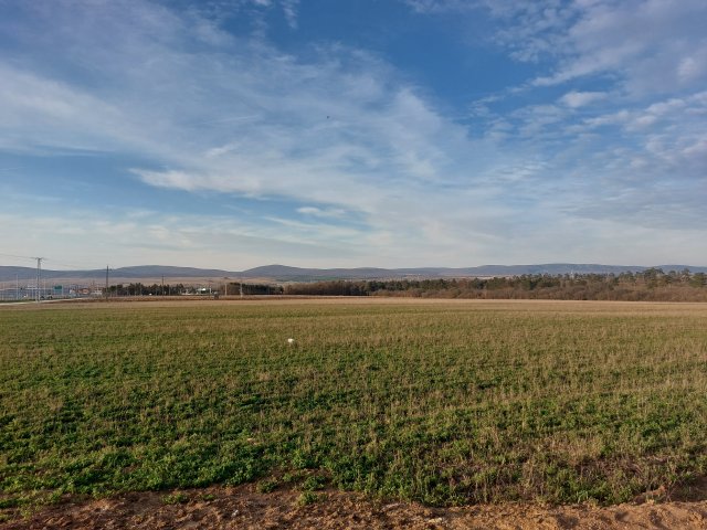 Eladó telek, Veszprémben 692.478 M Ft / költözzbe.hu