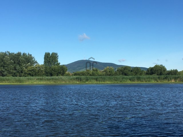 Eladó családi ház, Tiszaeszláron 20 M Ft, 4 szobás