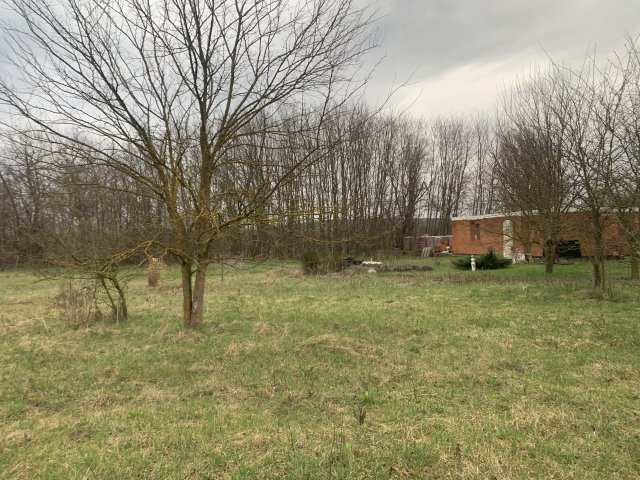 Eladó telek, Őrbottyánban 57 M Ft / költözzbe.hu