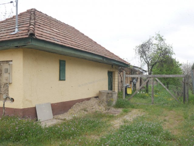 Eladó családi ház, Albertirsán 13.4 M Ft, 1 szobás