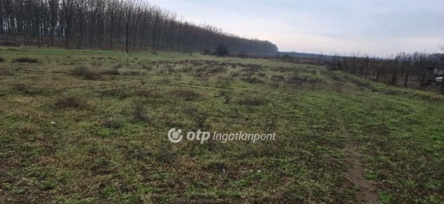 Eladó mezogazdasagi ingatlan, Ebesen 54.9 M Ft