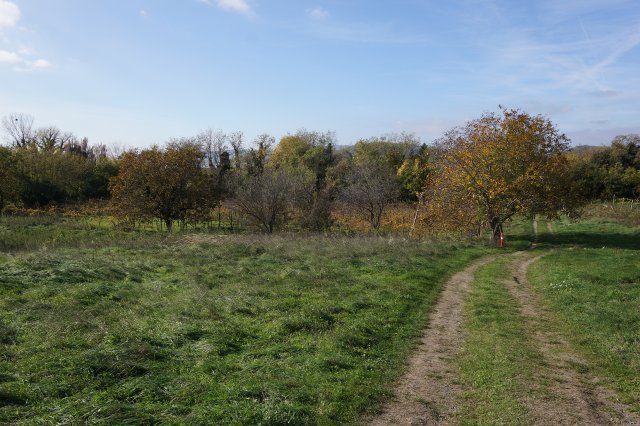 Eladó telek, Badacsonytomajon 65 M Ft / költözzbe.hu