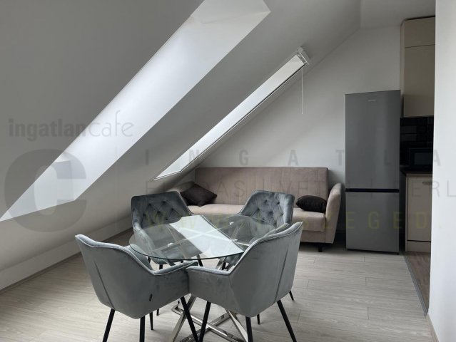 Kiadó téglalakás, albérlet, Szegeden 190 E Ft / hó, 1+1 szobás