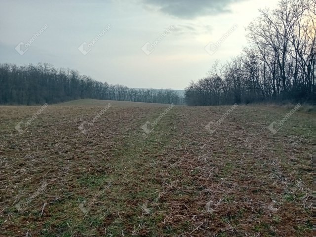 Eladó mezogazdasagi ingatlan, Vértessomlón 2.5 M Ft