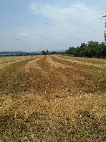 Eladó mezogazdasagi ingatlan, Balatonkenesén 9.8 M Ft