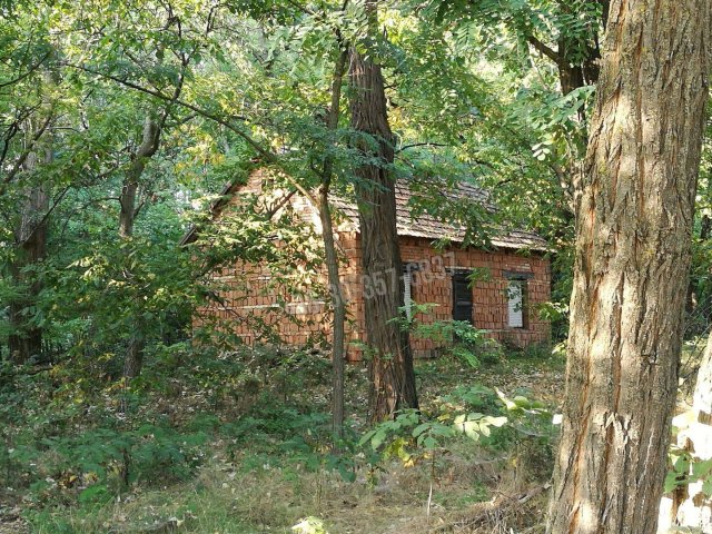 Eladó mezogazdasagi ingatlan, Zsombón 12.5 M Ft