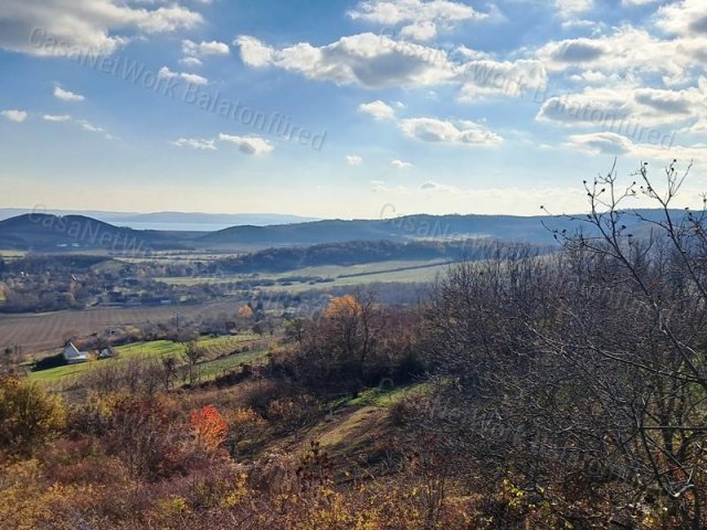 Eladó mezogazdasagi ingatlan, Pécselyen 29.9 M Ft