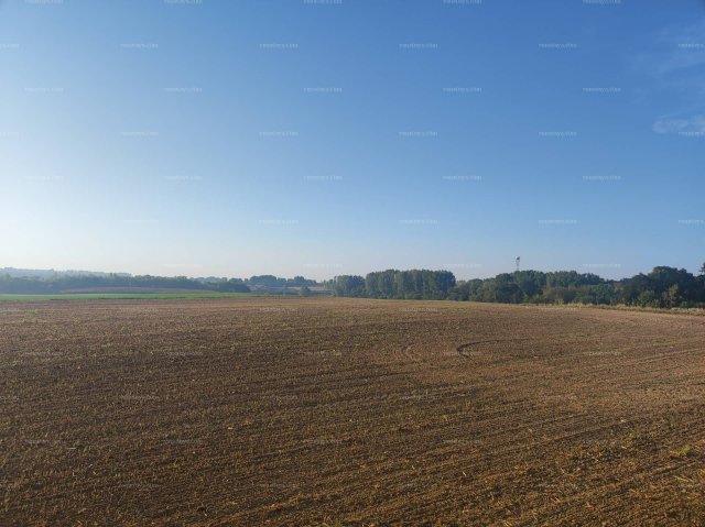 Eladó telek, Pakson 150 M Ft / költözzbe.hu