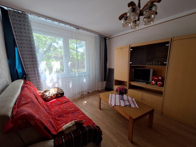 Kiadó panellakás, albérlet, Szolnokon, Ady Endre úton, 1 szobás