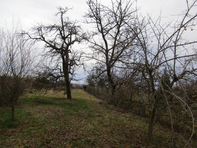 Eladó telek, Szombathelyen 12.3 M Ft / költözzbe.hu