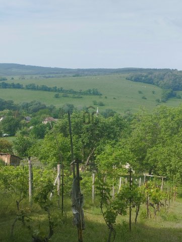 Eladó telek, Kerekin 4.9 M Ft / költözzbe.hu