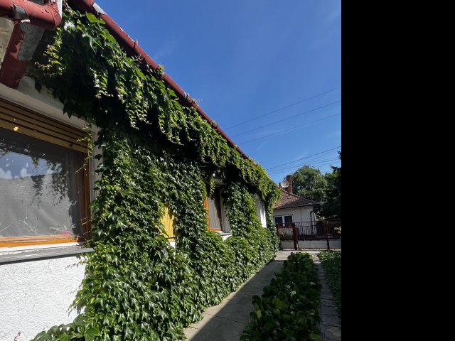 Eladó családi ház, Albertirsán 53.9 M Ft, 3 szobás