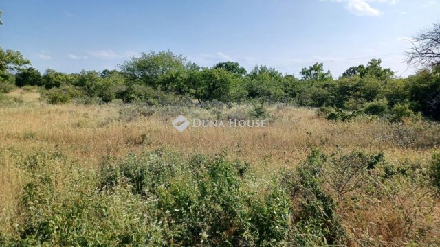 Eladó mezogazdasagi ingatlan, Balatonudvariban 7.9 M Ft