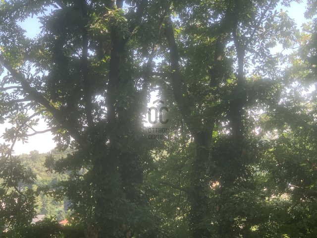 Eladó telek, Érden 84.9 M Ft / költözzbe.hu