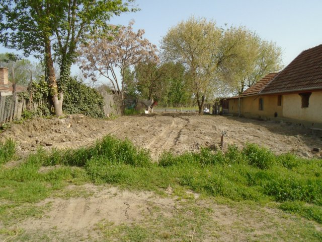 Eladó telek, Tiszakécskén 3.8 M Ft / költözzbe.hu