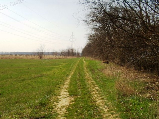 Eladó mezogazdasagi ingatlan, Budakeszin 108.076 M Ft