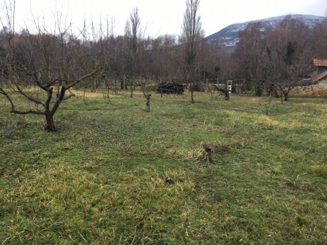 Eladó telek, Badacsonytomajon 99 M Ft / költözzbe.hu