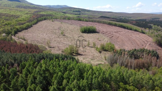 Eladó ipari ingatlan, Bátonyterenyén 999 M Ft