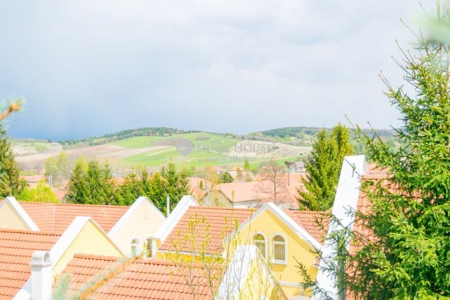 Eladó hotel, Dédestapolcsányban 525.2 M Ft, 21 szobás