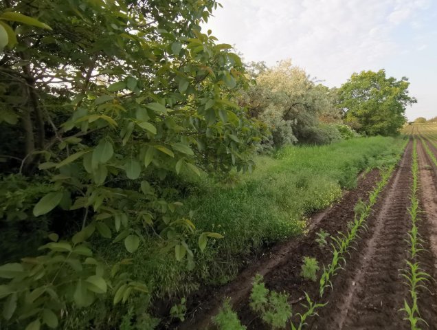 Eladó telek, Gárdonyban 8.9 M Ft / költözzbe.hu