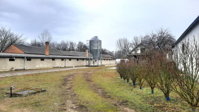 Eladó ipari ingatlan, Nyáregyházán 310 M Ft