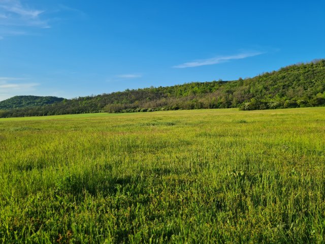 Eladó telek, Kesztölcön 33.3 M Ft / költözzbe.hu