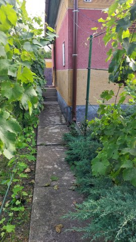 Eladó családi ház, Szolnokon 18 M Ft, 2 szobás