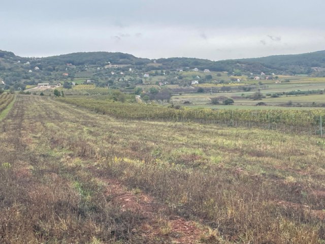 Eladó mezogazdasagi ingatlan, Zánkán 6.9 M Ft