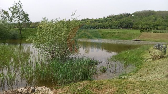 Eladó mezogazdasagi ingatlan, Harkán 480 M Ft