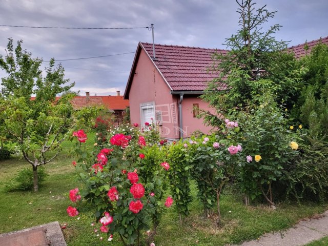 Eladó családi ház, Polgárdin 39.9 M Ft, 3 szobás