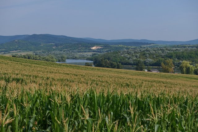 Eladó telek, Pilisborosjenőn 66 M Ft / költözzbe.hu