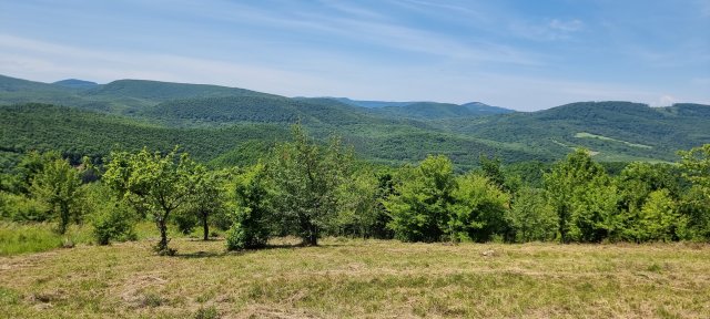 Eladó telek, Vágáshután 34.9 M Ft / költözzbe.hu