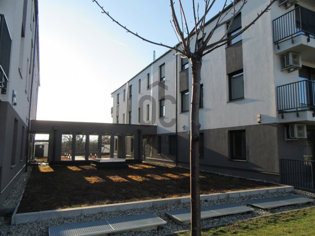 Kiadó téglalakás, albérlet, Érden 240 E Ft / hó, 1 szobás