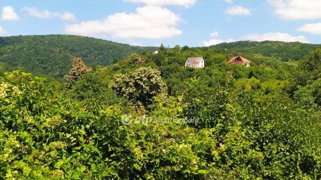 Eladó telek, Pécsett 19.9 M Ft / költözzbe.hu