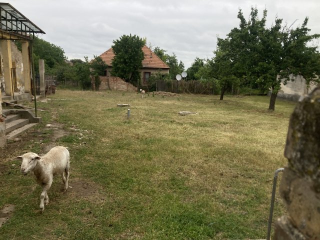 Eladó családi ház, Galgahévízen, Fő úton 16.79 M Ft, 2 szobás