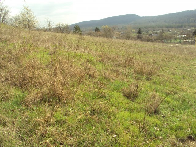 Eladó telek, Kincsesbányán 6.5 M Ft / költözzbe.hu