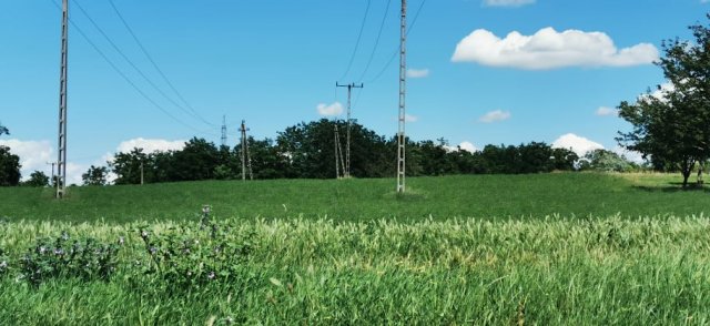 Eladó telek, Kőröshegyen 22 M Ft / költözzbe.hu