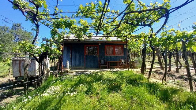 Eladó mezogazdasagi ingatlan, Szekszárdon 5.7 M Ft
