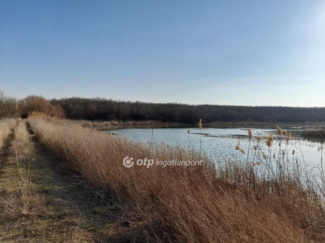 Eladó mezogazdasagi ingatlan, Úrin 60 M Ft / költözzbe.hu