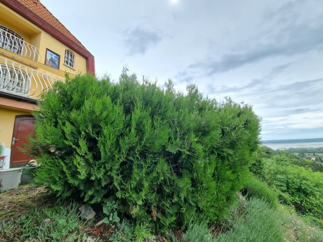 Eladó nyaraló, Velencén 87.9 M Ft, 2 szobás